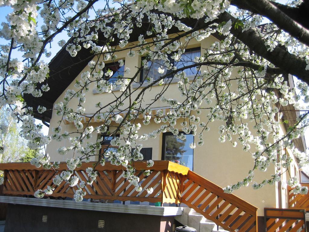 St. Michael Apartman Budapest Eksteriør billede